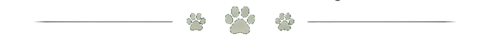 paw-divider-transparent